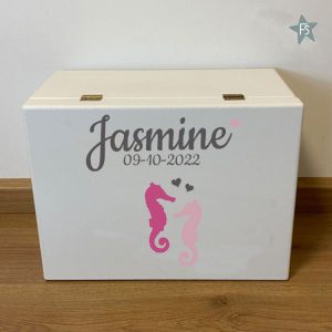 Herinneringen kist met naam en zeepaardjes