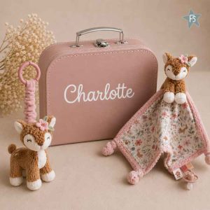 Kraamcadeau met naam | koffertje gevuld met little Dutch Fairy Garden ( met naam )